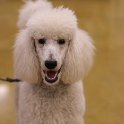 photograph by PeterW